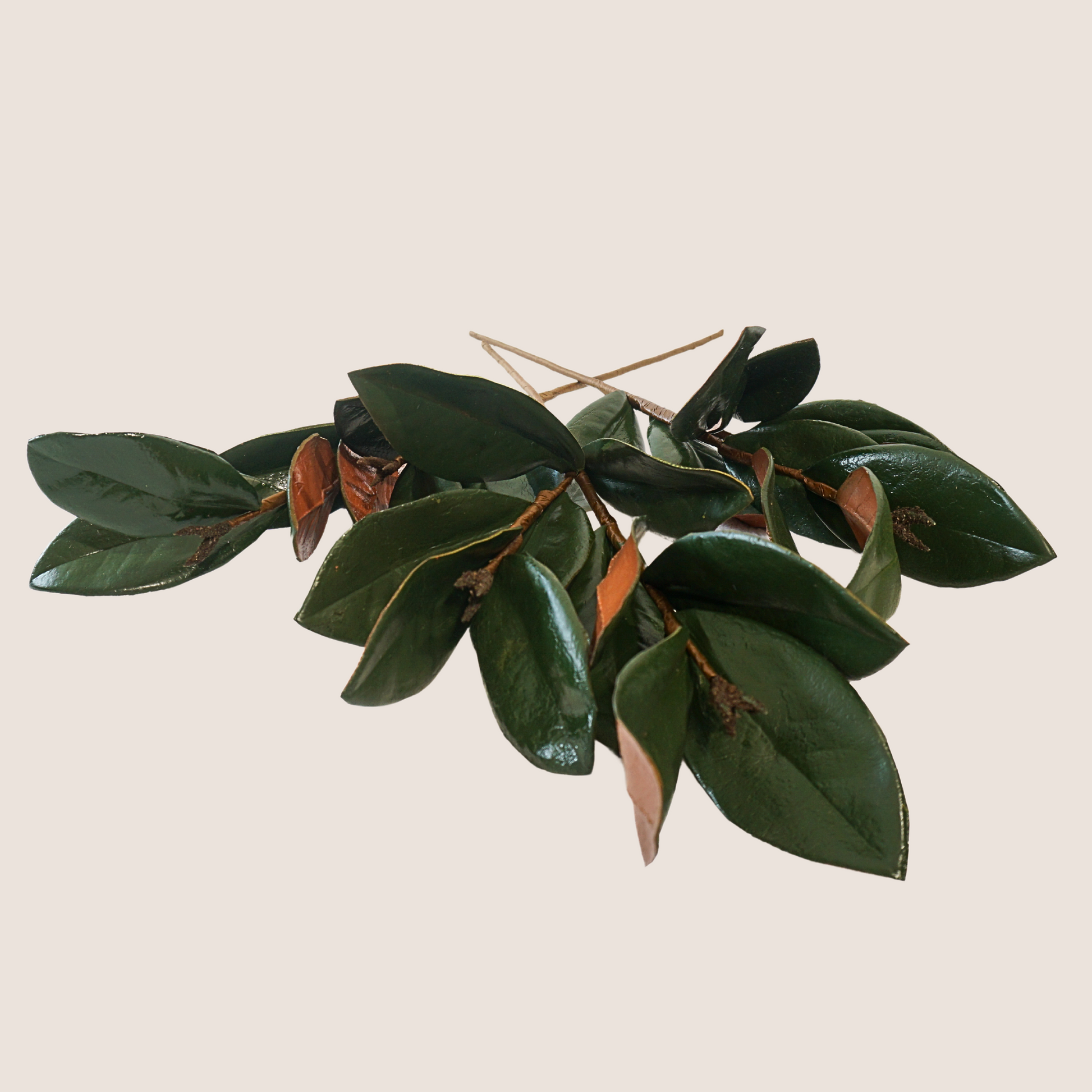 Close up of artificial lifelike magnolia stems - high gloss to look preserved. 3 stems against blush backdrop with dormant fruit buds on stems.