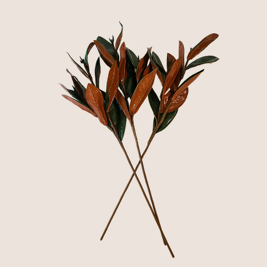 Artificial magnolia stems - high gloss to look preserved. 3 stems against blush backdrop.