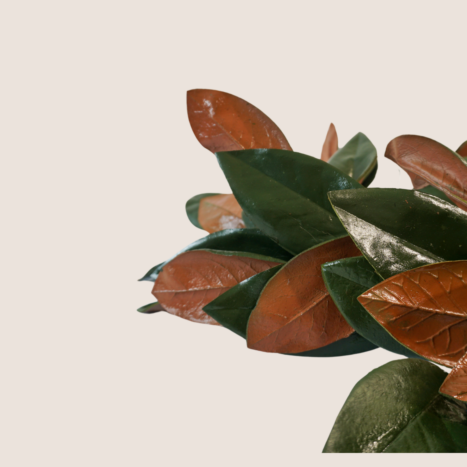 Close up of artificial magnolia leaf garland with dark green and brown leaves with a glossy finish to look preserved.