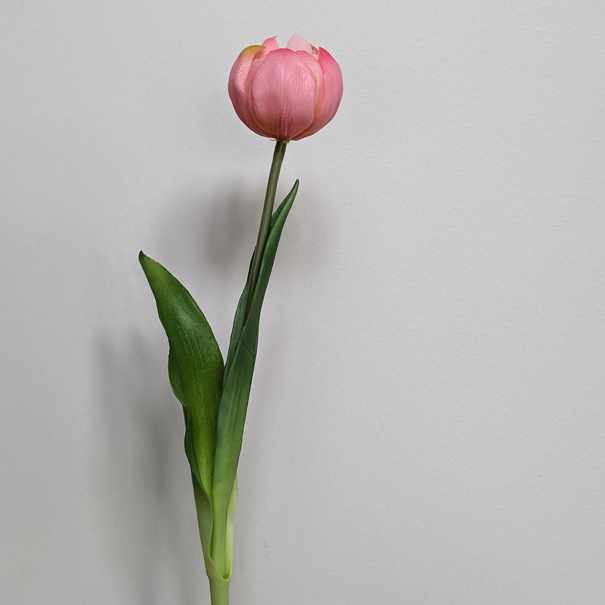 Artificial tulip in pink with gradients of yellow, mid-bloom, pictured against a white background.