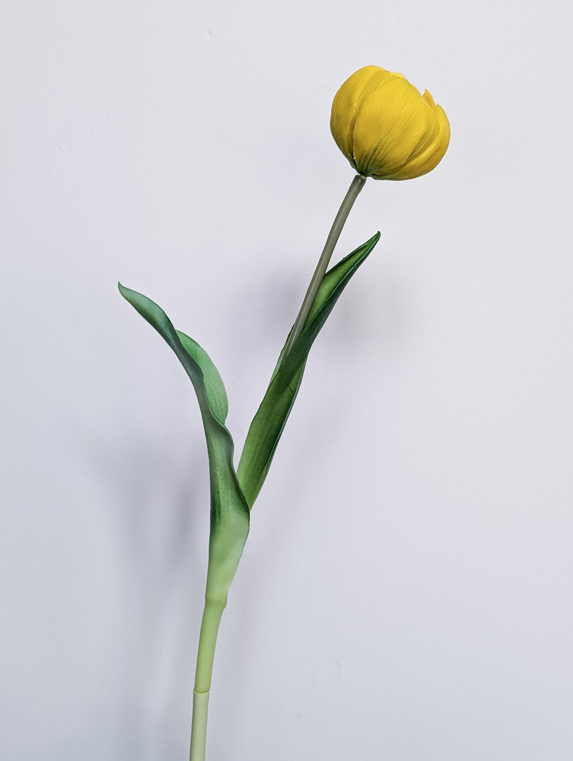 Artificial tulip in yellow with gradients of yellow and bits of light green, mid-bloom, pictured against a white background.