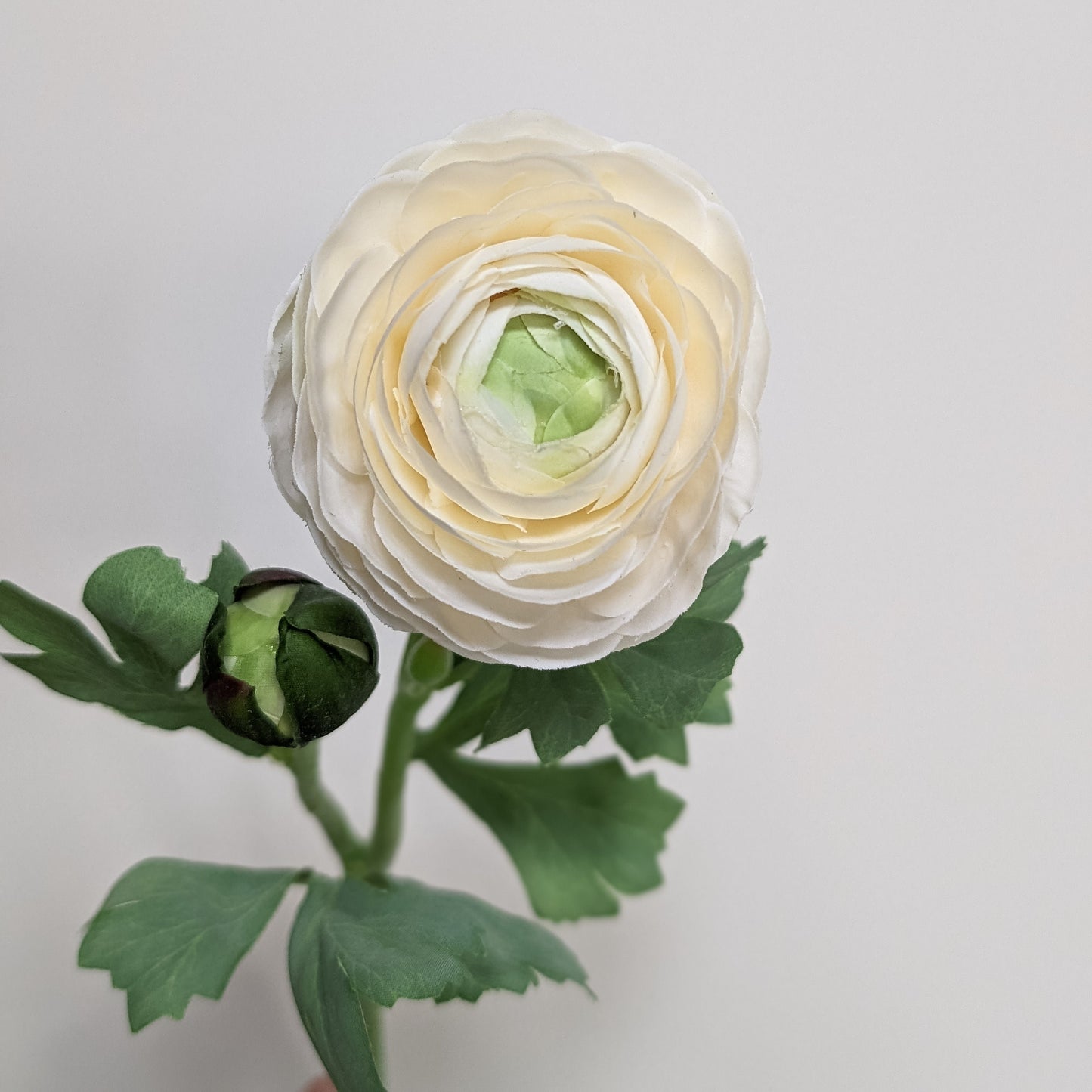 Artificial real touch blooming ranunculus flower in cream with bud for spring home decor.