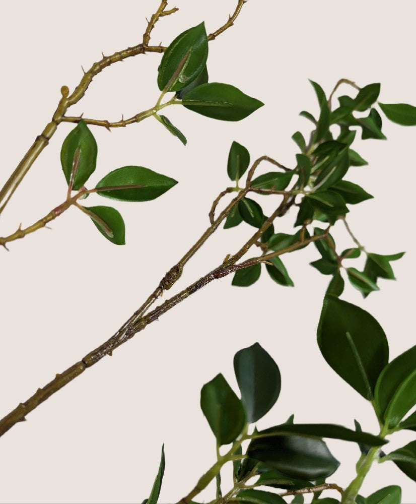 Close-up image of artificial green leafy stem featuring small, waxy-looking ficus twigs and stems. The lifelike gradient of light and dark brown branches creates a natural appearance. The stem is 42 inches with each stem featuring 5-7 branches. The image showcases the intricate details of the leaves.