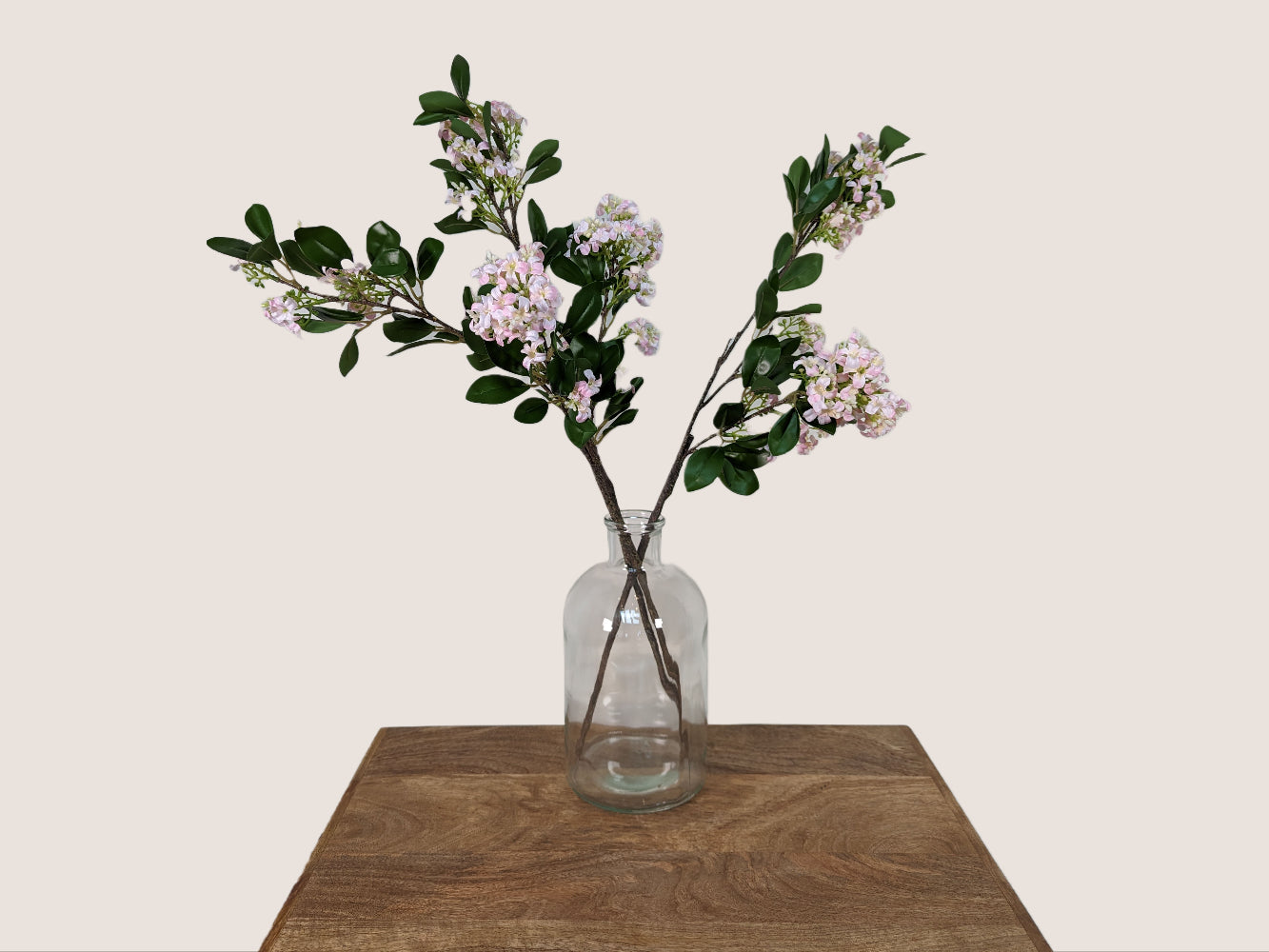 Glass Bottle with Cork - 11 inches