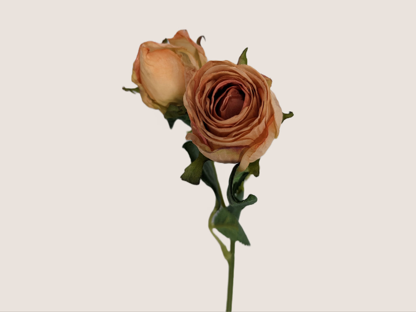 An image of a single stem of artificial blush pink preserved roses, crafted to look like dried flowers. The rose petals are pink with light brown edging, and the stem features two flower heads per green stem. The stem is 14 inches tall and appears against a neutral beige background.