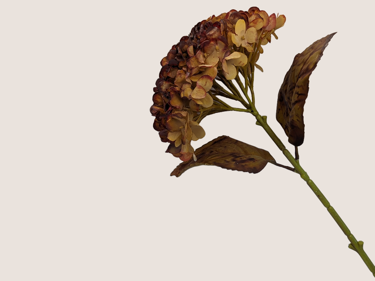 Artificial fall hydrangea flower against a light beige background showcasing realistic look dried burgundy and brown petals and leaves.