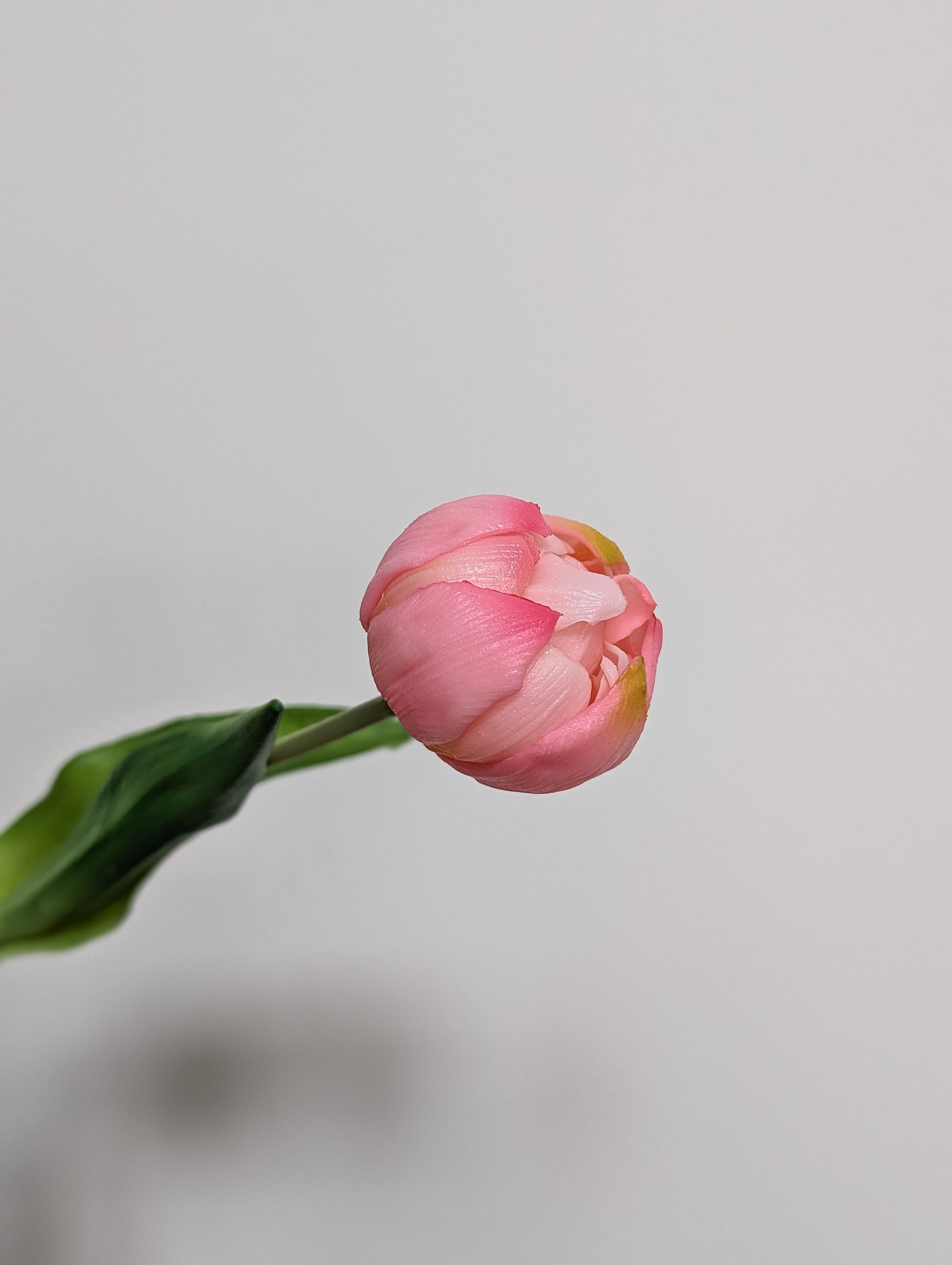 Artificial tulip in pink showing side view to showcase gradients of pink and yellow, mid-bloom, pictured against a white background. 