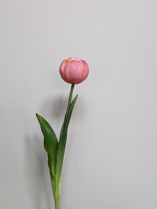 Artificial tulip in pink with gradients of yellow, mid-bloom, pictured against a white background. 