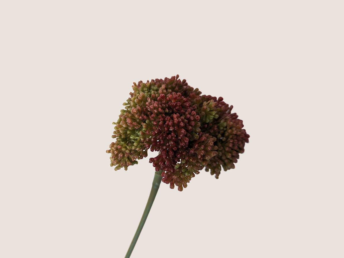 Close up of fall allium spray flower against a beige background showcasing predominantly dark red blooms with gradients of green, mauve, and brown creating lifelike faux flower. 