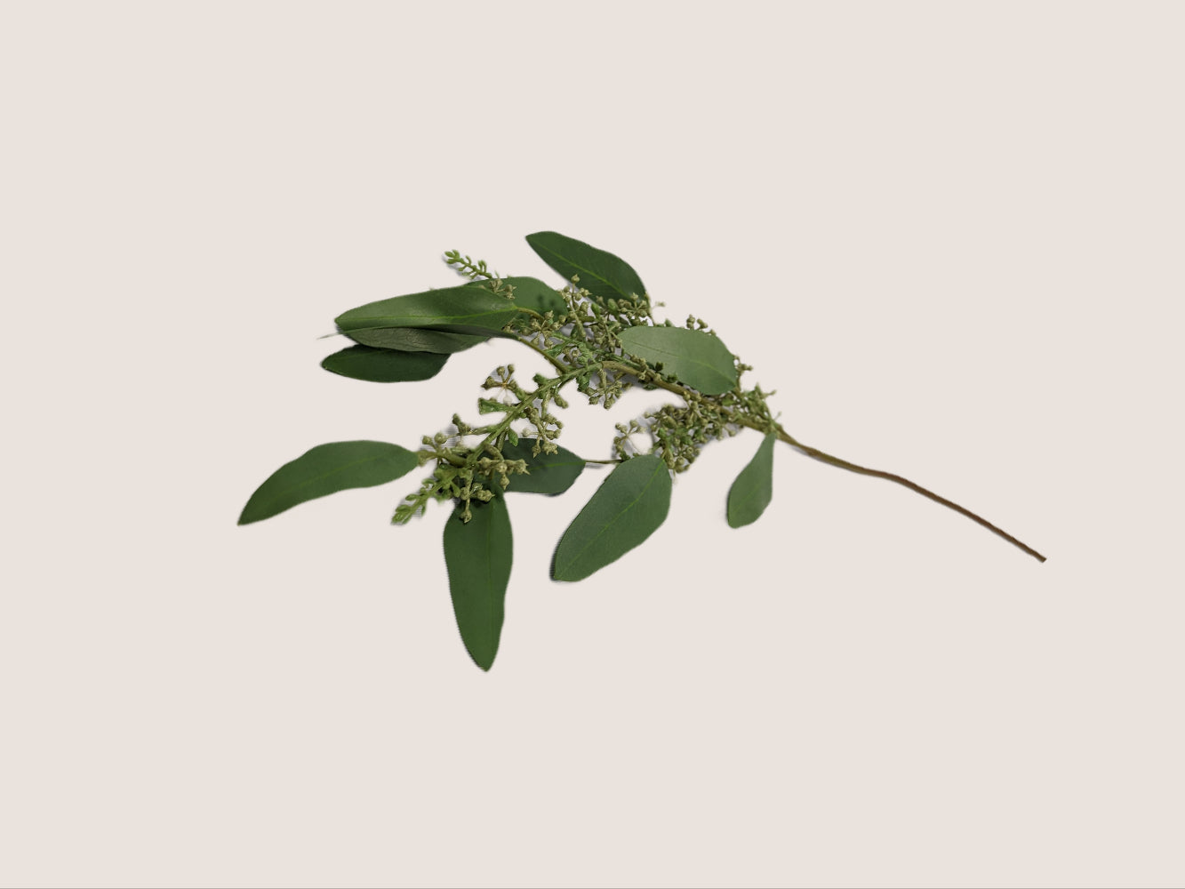 An image of a single artificial seeded eucalyptus branch against a white background. The branch is 28 inches long and features lifelike sage green leaves with realistic veining and texture. The seeded eucalyptus branch adds natural and organic charm to any floral arrangement or home decor. The image showcases the intricate details and lifelike appearance of the artificial branch, including the color, texture, and shape of the leaves.