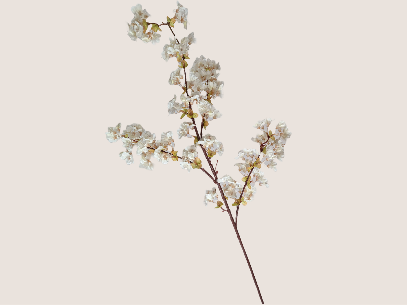 Cream-colored cherry blossom stem against a beige background. The 40-inch stem features three branches with light green buds and brown lifelike stems. Mauve and pink stamens add to the realistic appearance of the artificial flowers.