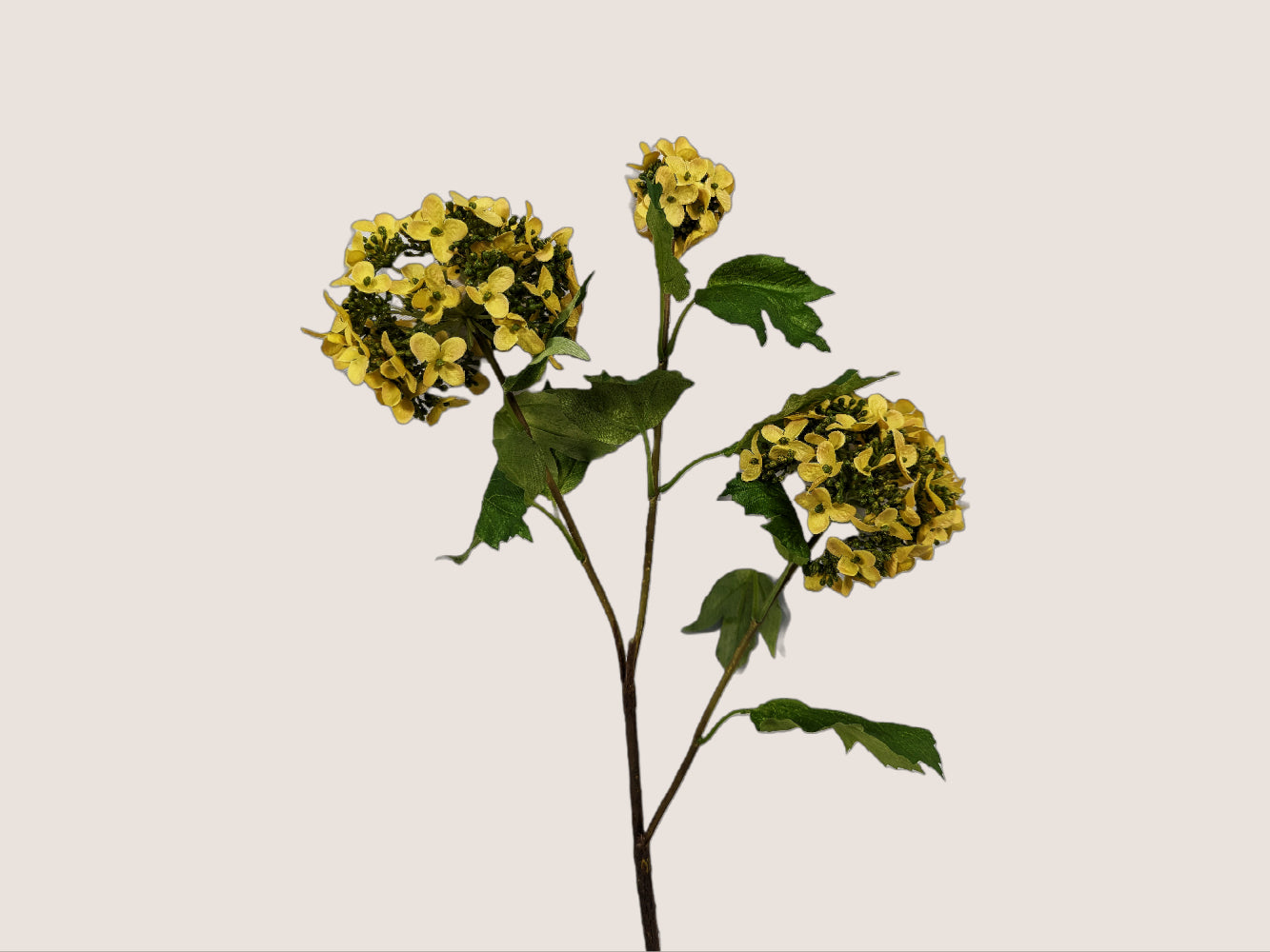Artificial yellow snowball hydrangea flower, measuring 24 inches in height (13 inches for the stem and 11 inches for the floral blooms and branches). Each stem features three blooms of small, medium, and large sizes. The image is shown against a neutral beige background.