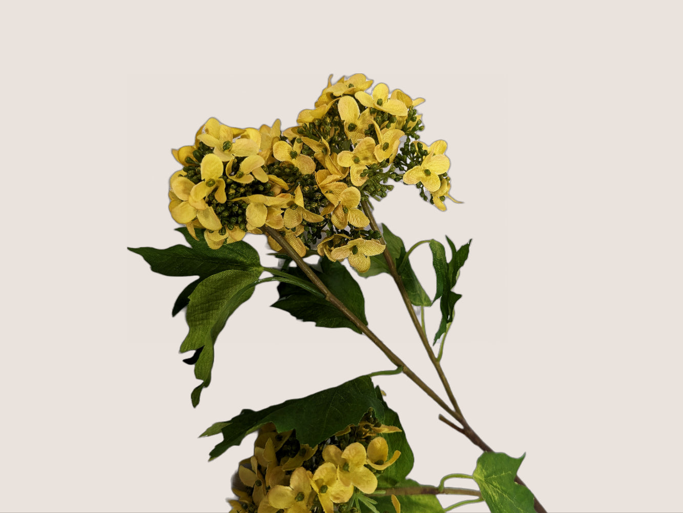 Artificial yellow snowball hydrangea stem with three realistic blooms in small, medium, and large sizes. The stem is 13 inches tall and the blooms and branches extend to 11 inches, making the total height 24 inches. The petals are yellow and the stem has a lifelike brown gradient. The image is against a neutral beige background.