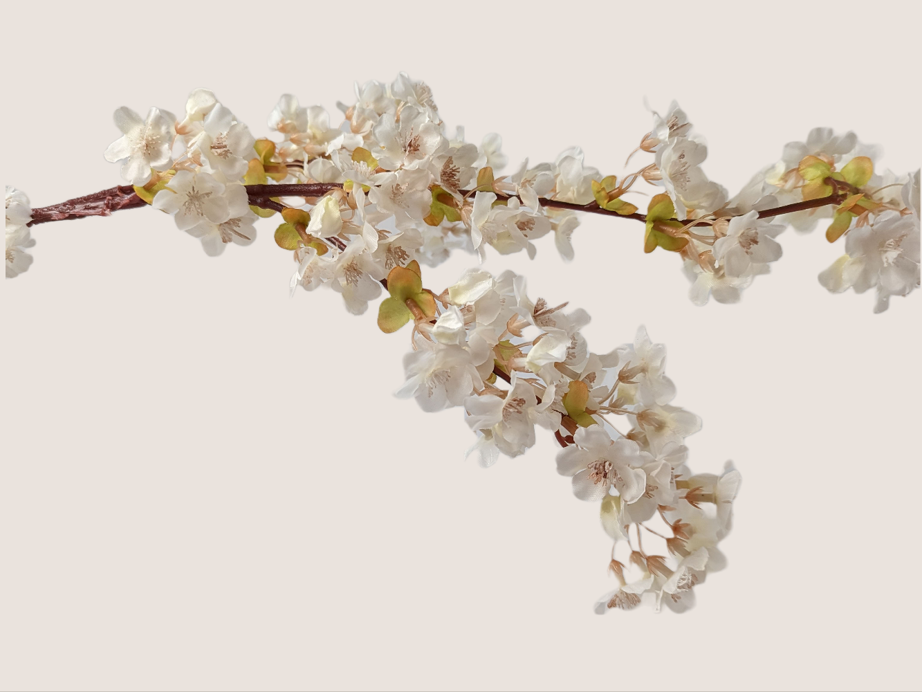Faux Cherry Blossom in Cream White - 40"