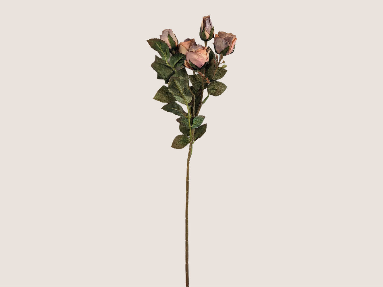 This image shows an artificial preserved-look single rose with a mauve pink, purple, and light brown color scheme. The rose has five flower heads on a 17-inch tall stem that has a green to brown gradient. The stem also has serrated leaves with dark red tips and small artificial buds for a lifelike appearance. The image has a neutral beige background that contrasts with the rose's colors.