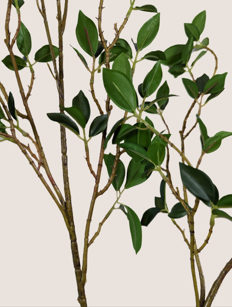 This image displays an artificial green leafy stem that resembles a ficus plant. The stem has several branches with small, waxy leaves that vary in color from light to dark green. The branches also have a realistic gradient of light and dark brown hues. The stem measures 42 inches in length and each branch has 5-7 sub-branches. The image highlights the detailed texture and shape of the leaves and branches. The background is a neutral beige color that contrasts with the greenery.