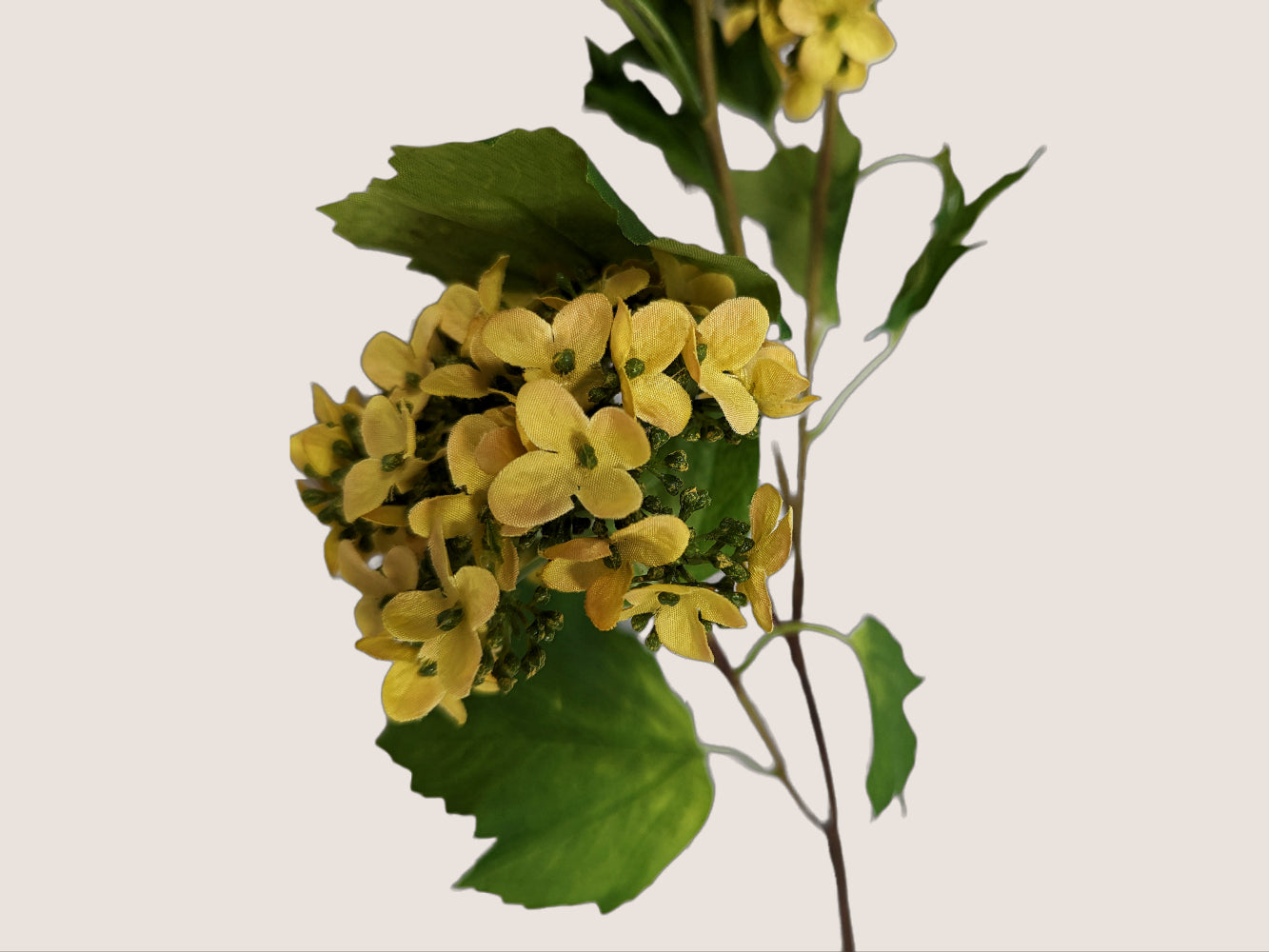 Close up of an artificial yellow snowball hydrangea faux flower, measuring 24 inches in height (13 inches for the stem and 11 inches for the floral blooms and branches). Each stem features three blooms of small, medium, and large sizes. The image is shown against a neutral beige background.