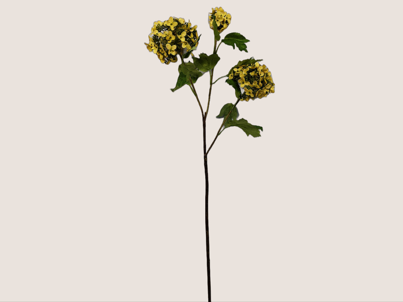 A faux yellow snowball hydrangea flower with three round clusters of petals on a green stem. The flower is 24 inches long and has three different sizes of blooms. The background is a plain beige color.
