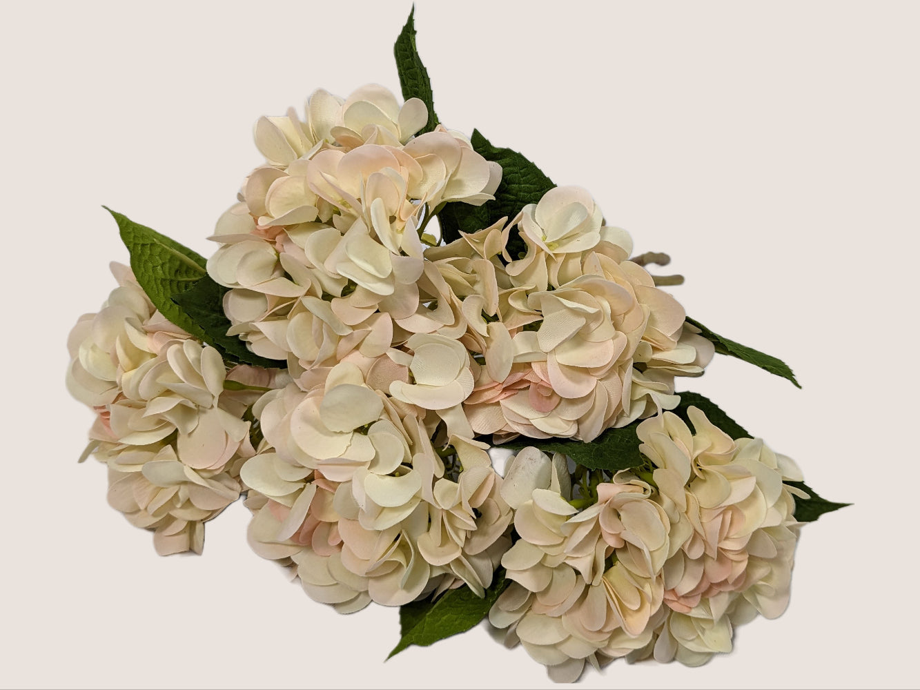 An image of a bouquet of artificial hydrangea flowers made with real touch materials that make it softer to the touch than traditional artificial flowers. The petals are creamy white with a faint soft pink on the tips of the petals, giving it a natural and delicate appearance. The stem has a color gradient including brown and green, adding to the realism of the flower. The image provides a close-up view of the flower, allowing the viewer to appreciate the intricate details of the petals and stem.