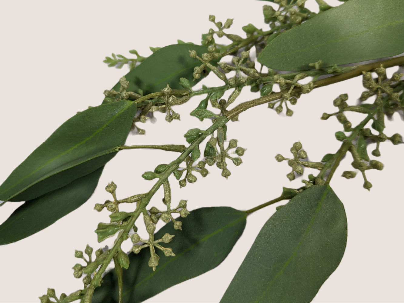 A close up image of a single artificial seeded eucalyptus branch against a white background. The branch is 28 inches long and features lifelike sage green leaves with realistic veining and texture. The seeded eucalyptus branch adds natural and organic charm to any floral arrangement or home decor. The image showcases the intricate details and lifelike appearance of the artificial branch, including the color, texture, and shape of the leaves.