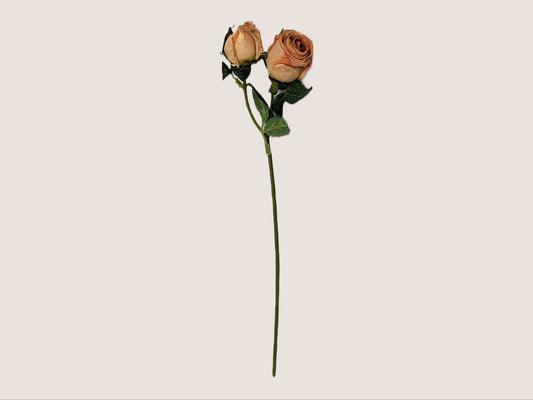 An image of a single stem of artificial blush pink preserved roses, crafted to look like dried flowers. The rose petals are pink with light brown edging, and the stem features two flower heads per green stem. The stem is 14 inches tall and appears against a neutral beige background.